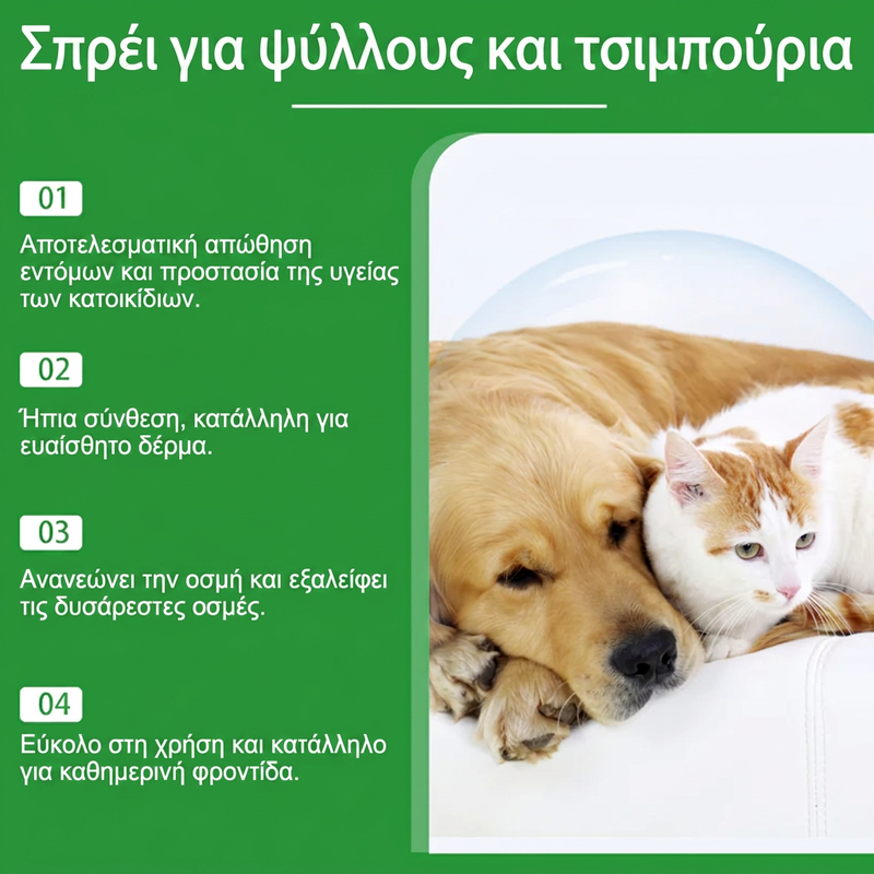 请4.webp